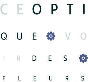 schéma de la vision